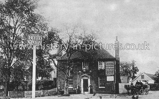 Red Cow, Shelley, Ongar, Essex. c.1904